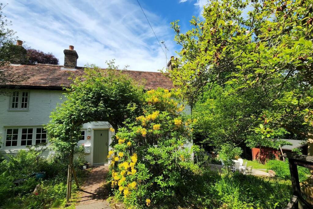 Ashdown Forest Character Cottage, 18Th Century Crowborough Dış mekan fotoğraf