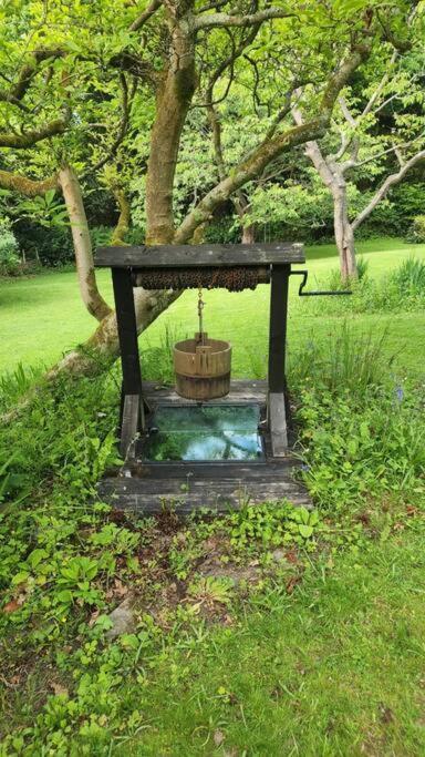 Ashdown Forest Character Cottage, 18Th Century Crowborough Dış mekan fotoğraf